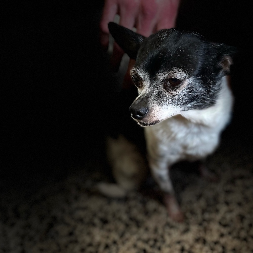 Meet your Posher, Sara